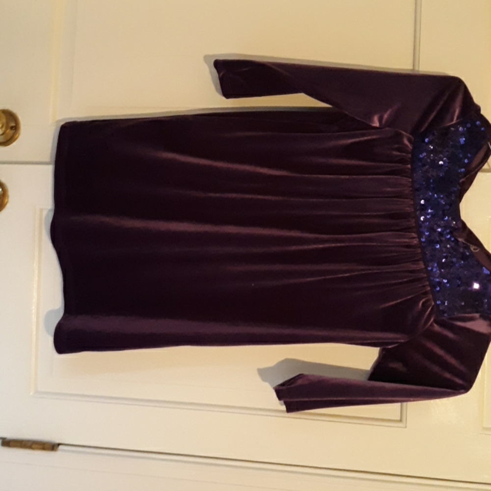 Lands End Purple Velvet Tunic